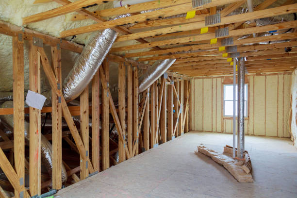 Best Insulation Removal  in Spencer, IN