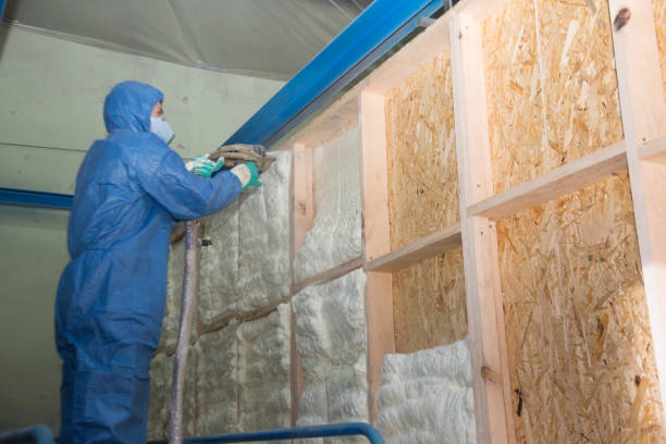 Best Insulation Contractors for Homes  in Spencer, IN